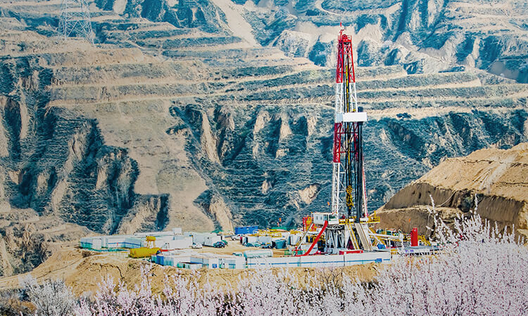 ����ͻ��