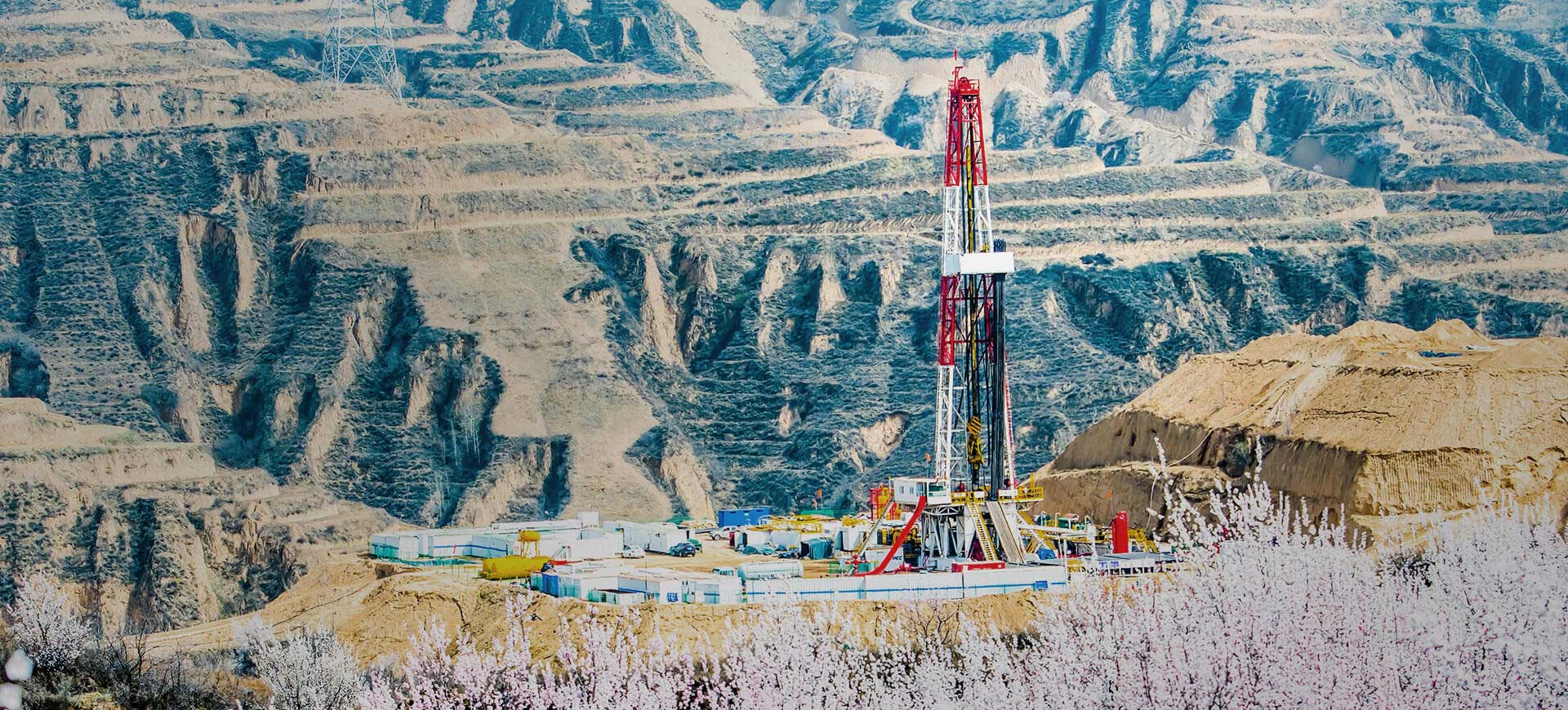 ����ͻ��